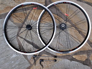 P5160755.JPGのサムネール画像