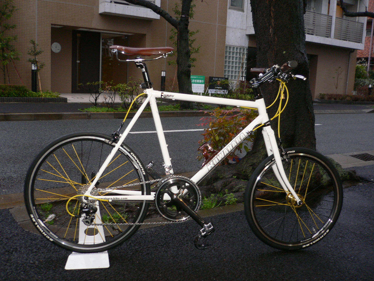 kuwahara FANNYスタンダード kuwahara FANNYスタンダード