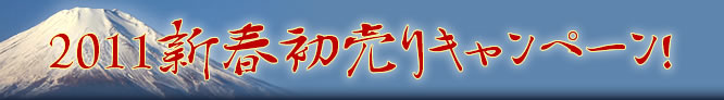 2011新春初売りキャンペーン!